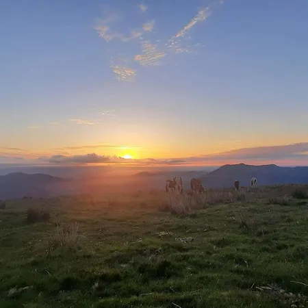 Appartamento In The Heart Of The Basque Mountains