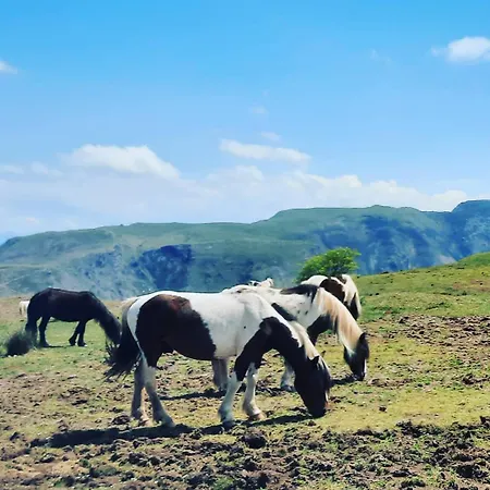In The Heart Of The Basque Mountains * Itxassou