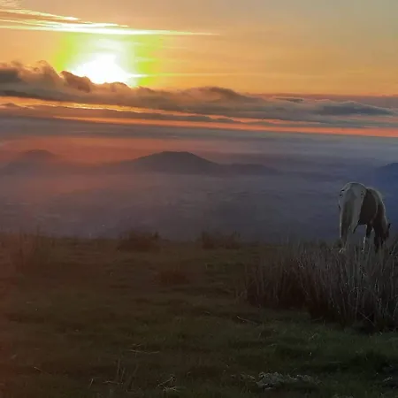 In The Heart Of The Basque Mountains Appartamento